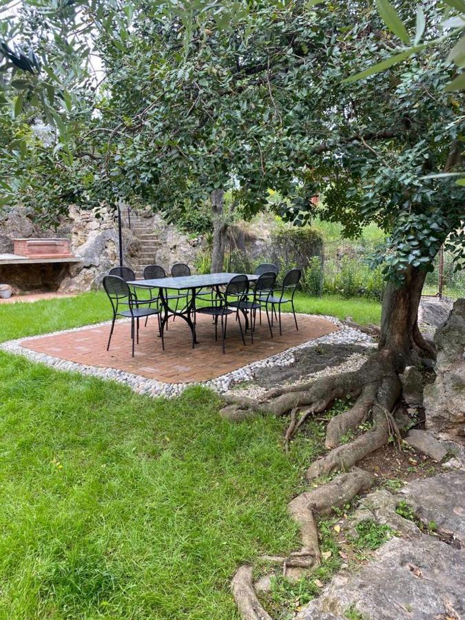 Villa Paolina Ceriale - App. 4 Posti 外观 照片