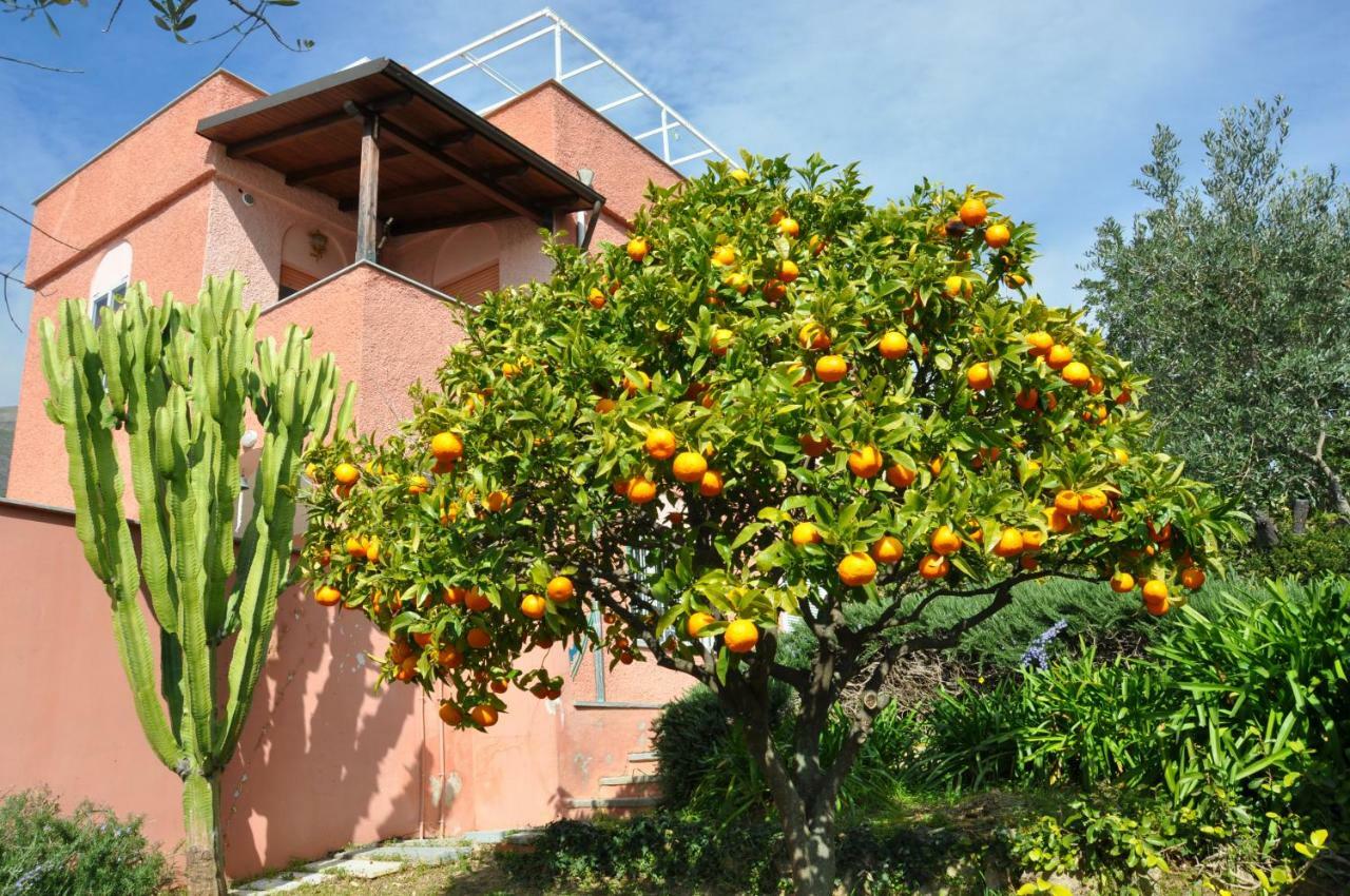 Villa Paolina Ceriale - App. 4 Posti 外观 照片